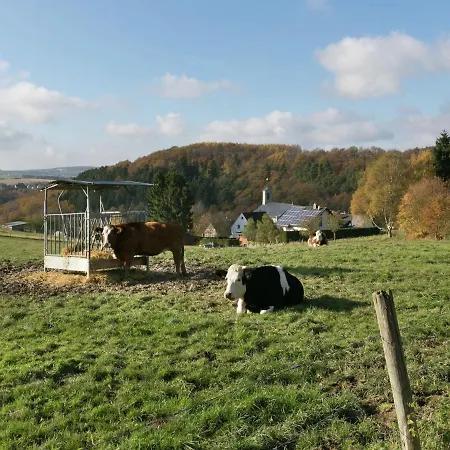 Peaceful In Morbach-morscheid With Garden *